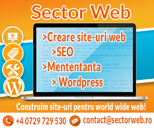 Dezvoltare web & SEO - Sector web